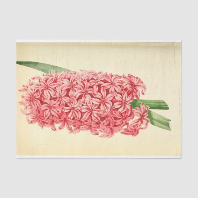 Floral Ephemera Decoupage Pink Tissue Paper (Front)