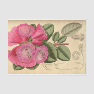 Floral Ephemera Decoupage Pink Tissue Paper