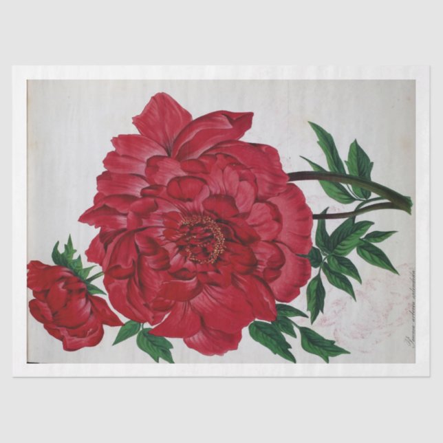 Floral Ephemera Decoupage Red Pink Rose Flowers Tissue Paper (Front)