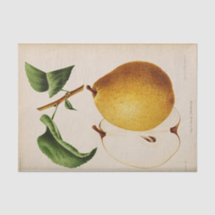 Floral Ephemera Decoupage Yellow Pear Tissue Paper