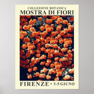 Floral Exhibit No. 3 Poster