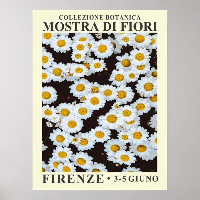 Floral Exhibit No. 5 Poster (Front)