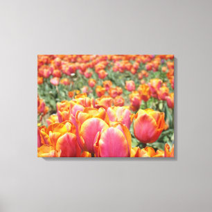 Floral Fine Art Prints Tulips Flowers canvas