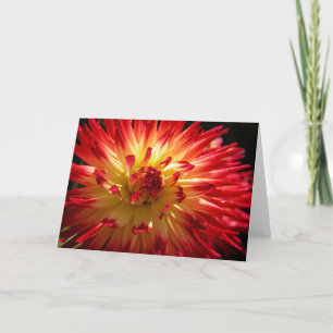 Floral Firework Card