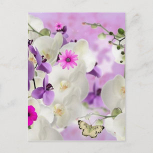 floral flower blossoms vines orchids plant bloom postcard