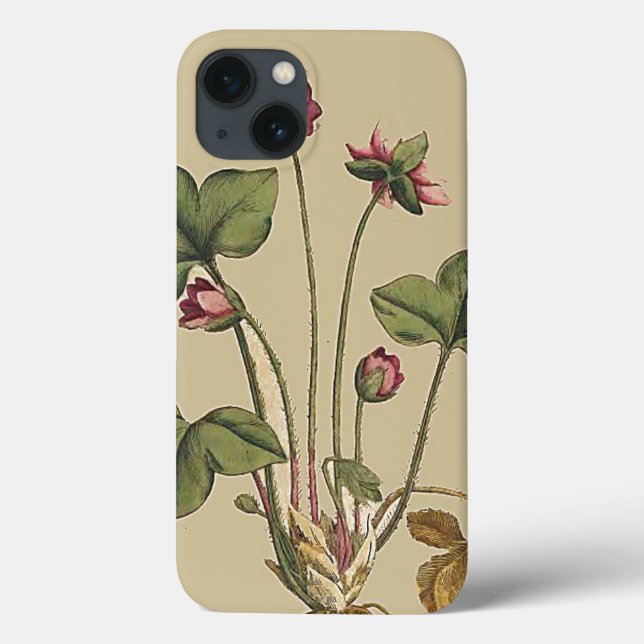Floral Flower Botanical Garden iPhone 6 Case (Back)