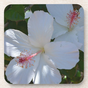 Floral Fragrance Cork Coaster