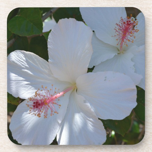 Floral Fragrance Cork Coaster (Front)