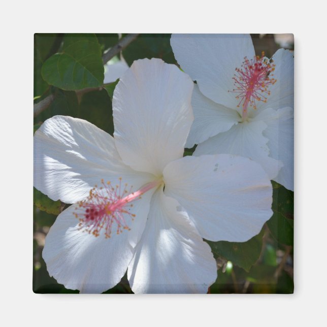 Floral Fragrance Magnet (Front)