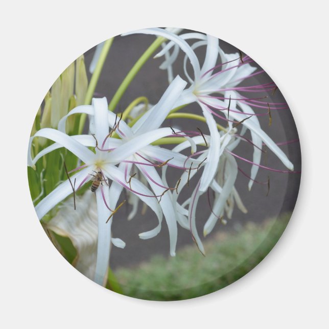 Floral Fragrance Magnet (Front)