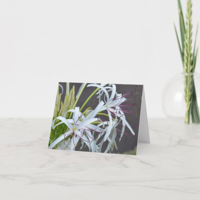 Floral Fragrance Note Card (Front)
