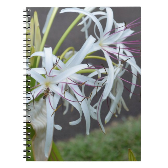 Floral Fragrance Notebook (Front)