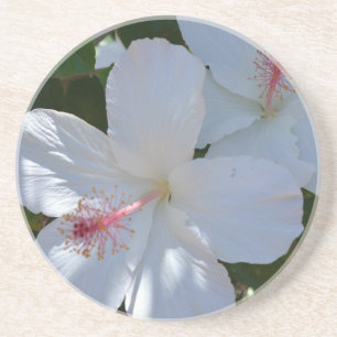 Floral Fragrance Sandstone Coaster