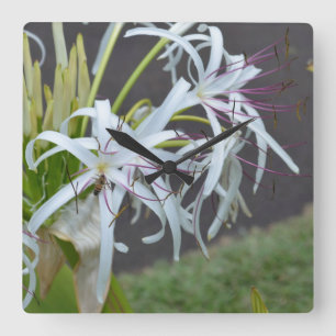 Floral Fragrance Wall Clock