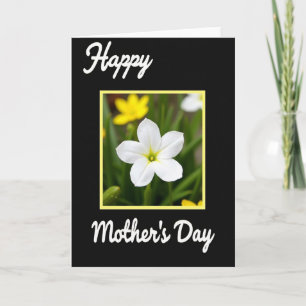 Floral Framed Photo Card