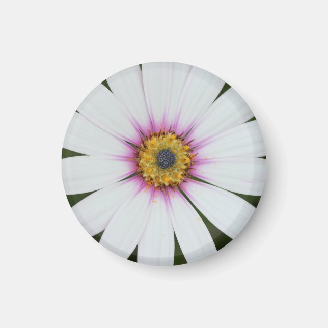 Floral Fridge Magnet (Front)