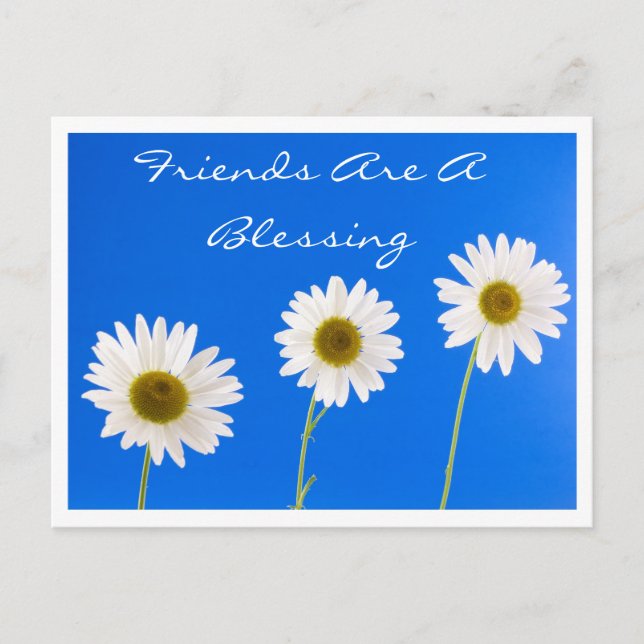 Floral Friends Are A Blessing White Daisy Flowers Postcard (Front)