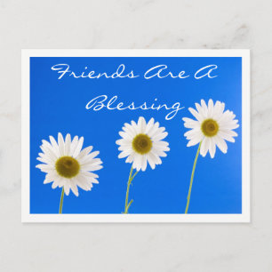 Floral Friends White Daisy Flowers Blue Friendship Postcard