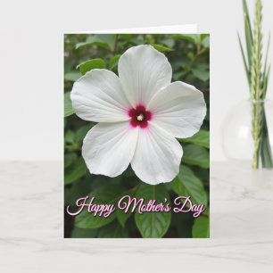 Floral Fuchsia Bloom Card