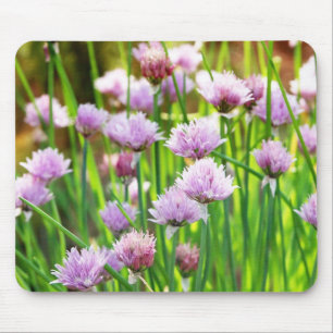 Floral Garden Mouse Pad