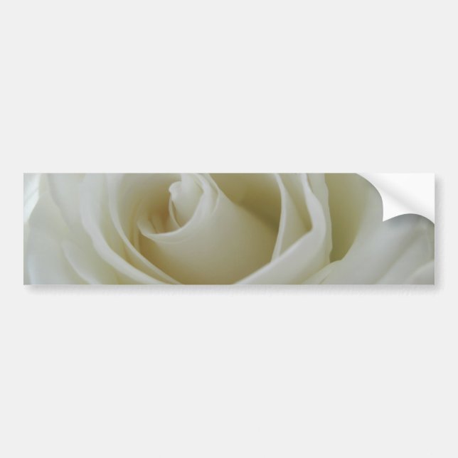 Floral Glow Bumper Sticker (Front)