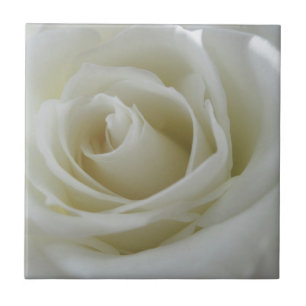 Floral Glow Ceramic Tile
