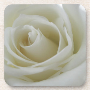 Floral Glow Coaster