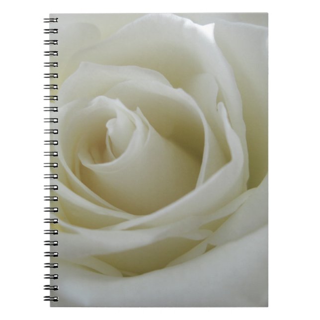 Floral Glow Notebook (Front)