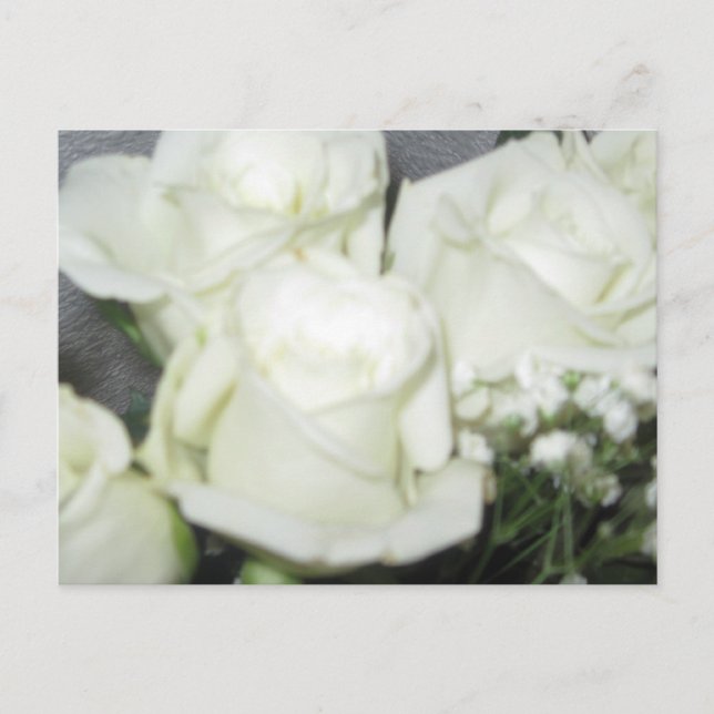 Floral Glow Postcard (Front)