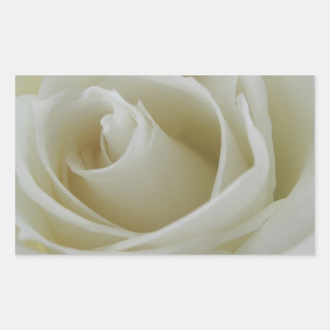 Floral Glow Rectangular Sticker (Front)