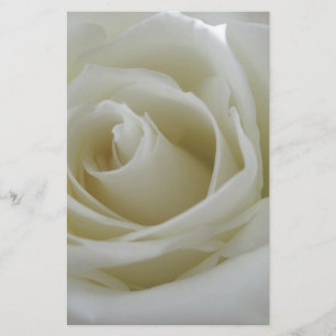 Floral Glow Stationery