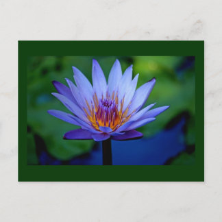 FLORAL GRACE POSTCARD
