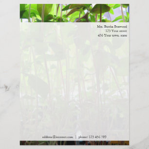Floral Green Seedlings Photo Custom Address Letterhead