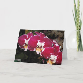 Floral Greeting Card