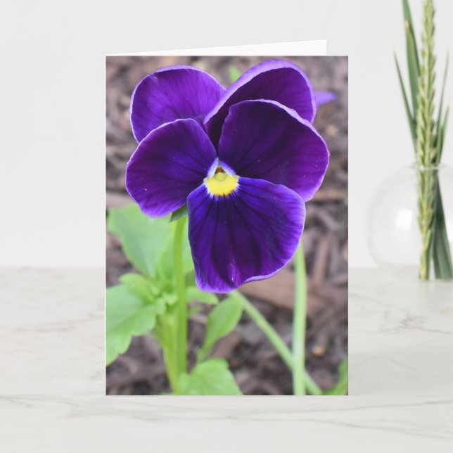 Floral Greeting Card (Front)