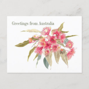 Floral Greetings from Australia Holiday Postcard