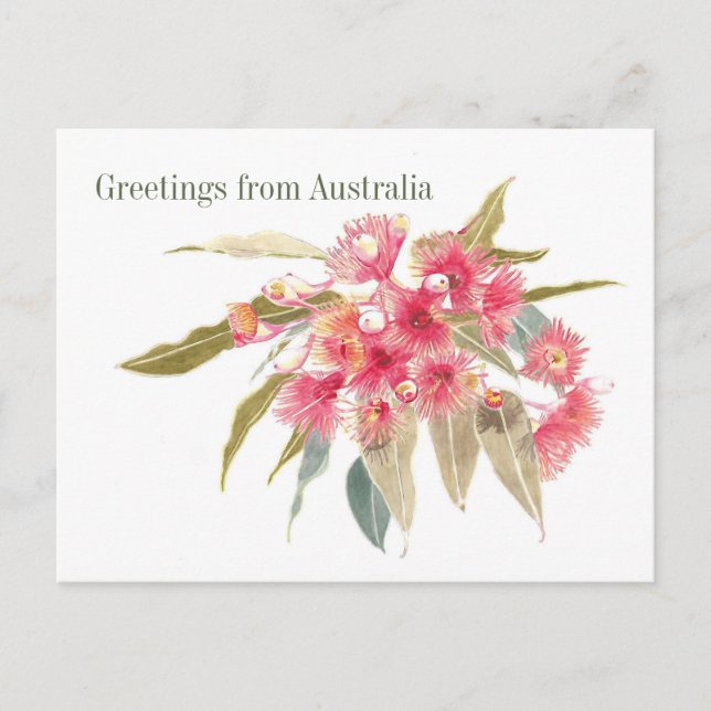 Floral Greetings from Australia Holiday Postcard (Front)