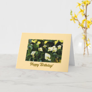 Floral, Happy Birthday Card