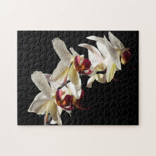 Floral Highlights of White Phalaenopsis Orchids Jigsaw Puzzle