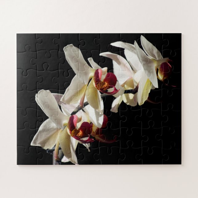 Floral Highlights of White Phalaenopsis Orchids Jigsaw Puzzle (Horizontal)