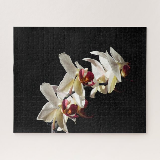 Floral Highlights of White Phalaenopsis Orchids Jigsaw Puzzle (Horizontal)