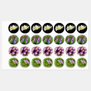 Floral Iron On or Adhesive Stickers