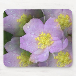 Floral Kalidascope Mouse Pad