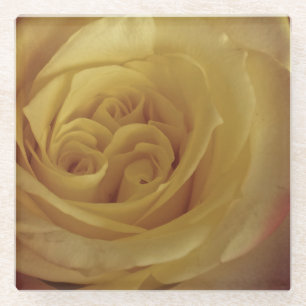 Floral Light Yellow Rose Photo Beautiful Flower Glass Coaster