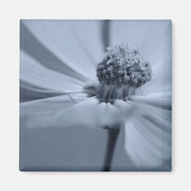 Floral Magnet (Front)