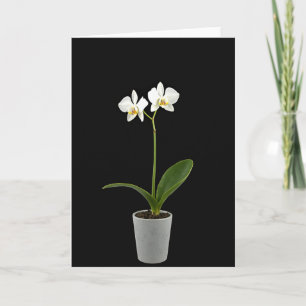 Floral Mothers Day Beauty Card