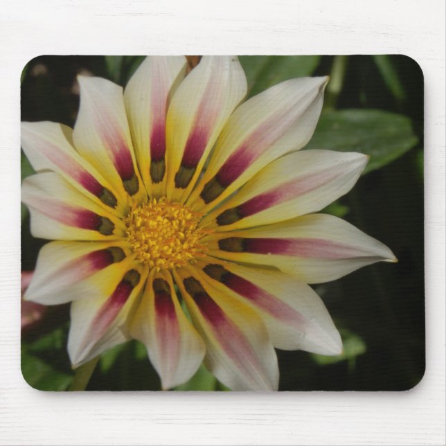 Floral Mousepad (Front)