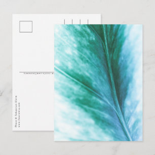 Floral Nature Photo Postcard