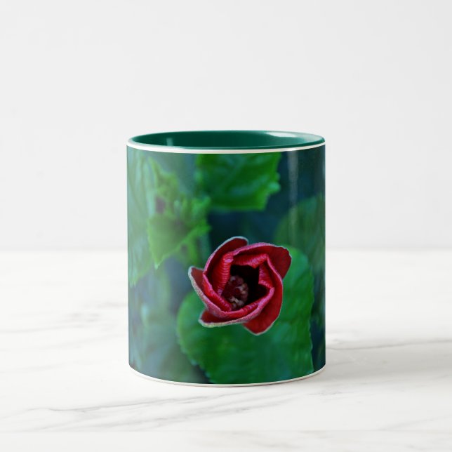 Floral New Red Hibiscus Two-Tone Coffee Mug (Center)