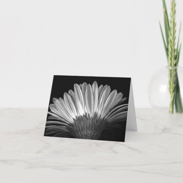 Floral Note Card of Silver Gerbera Daisy (Front)